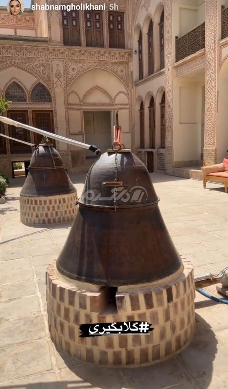 بازیگر زن / شبنم قلی خانی