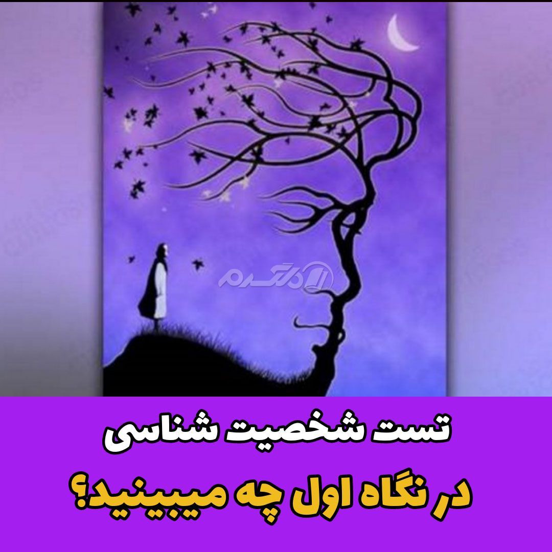 تست شخصیت شناسی / تست بصیری