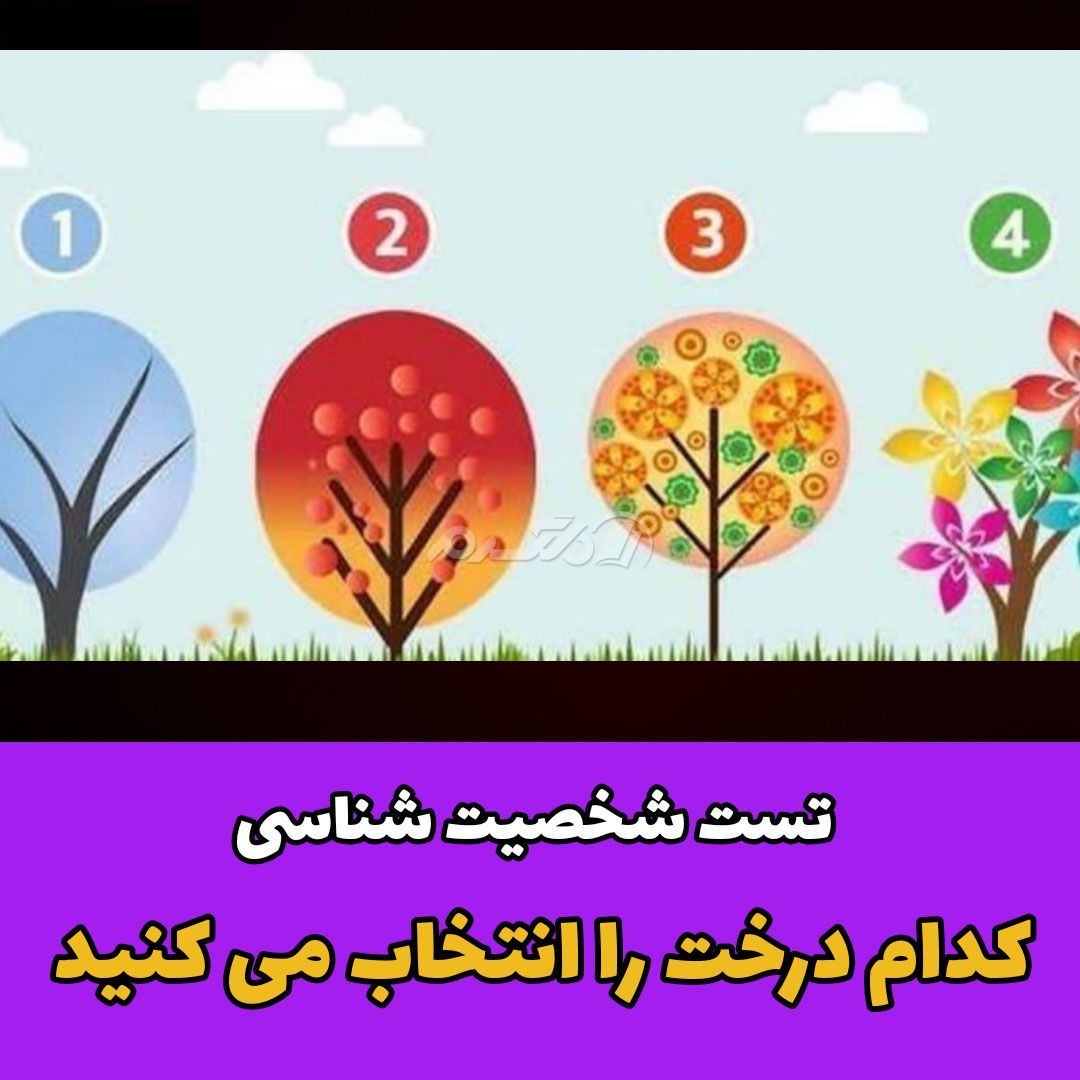 تست شخصیت شناسی / خود شناسی