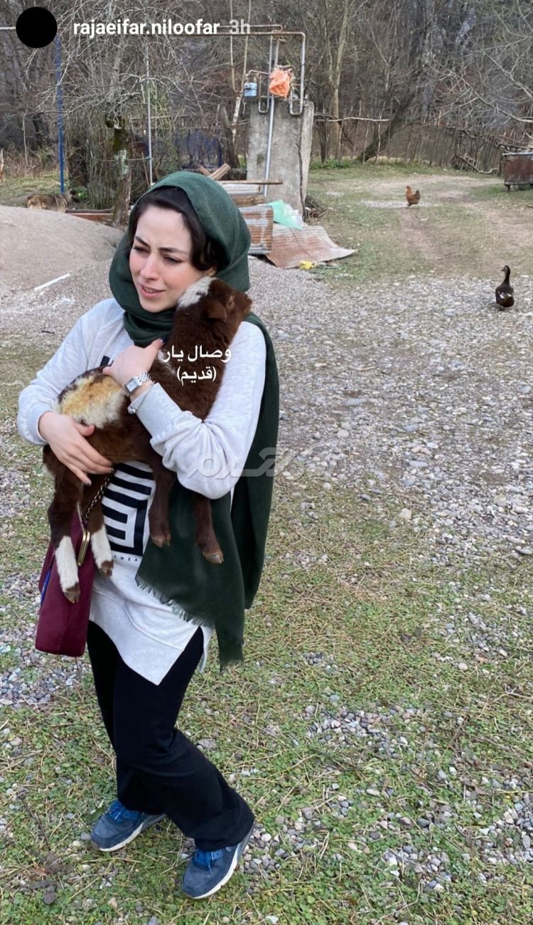 بازیگر زن / نیلوفر رجایی فر