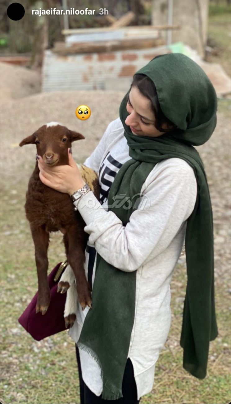 بازیگر زن / نیلوفر رجایی فر