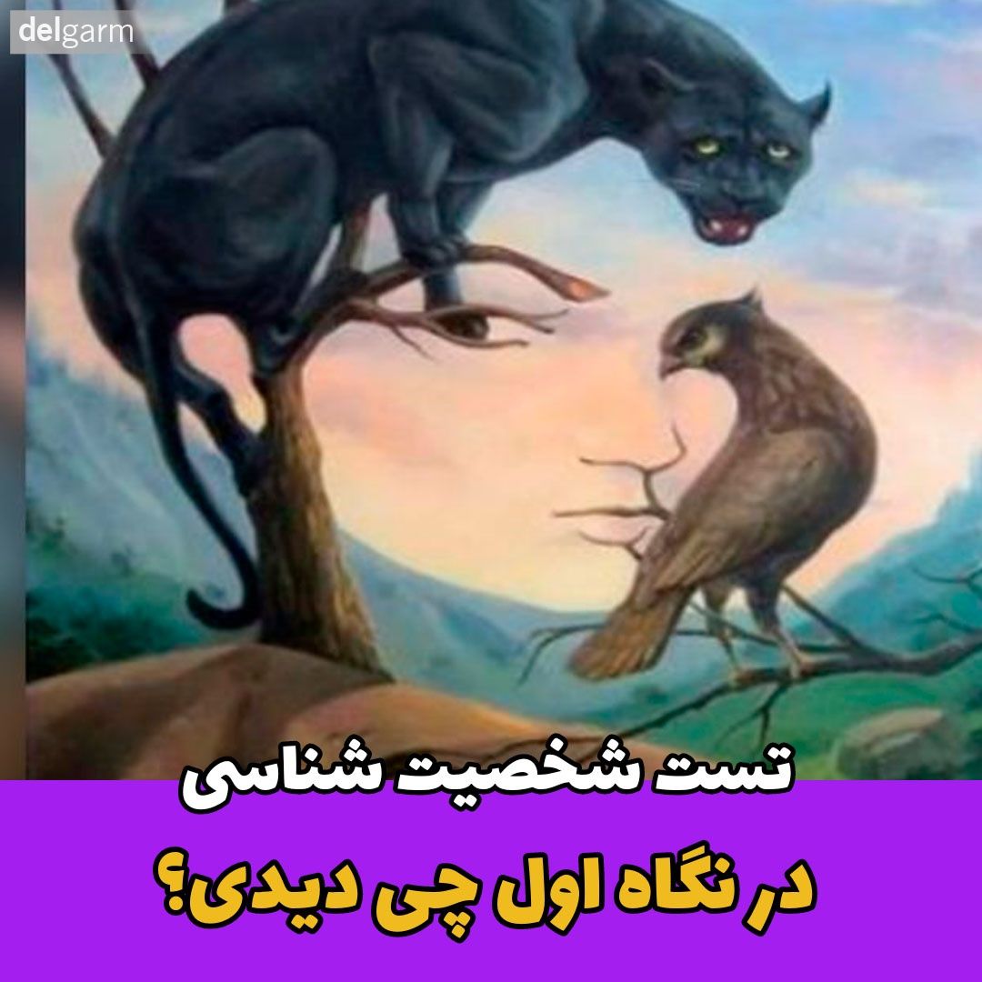 تست شخصیت شناسی / خود شناسی