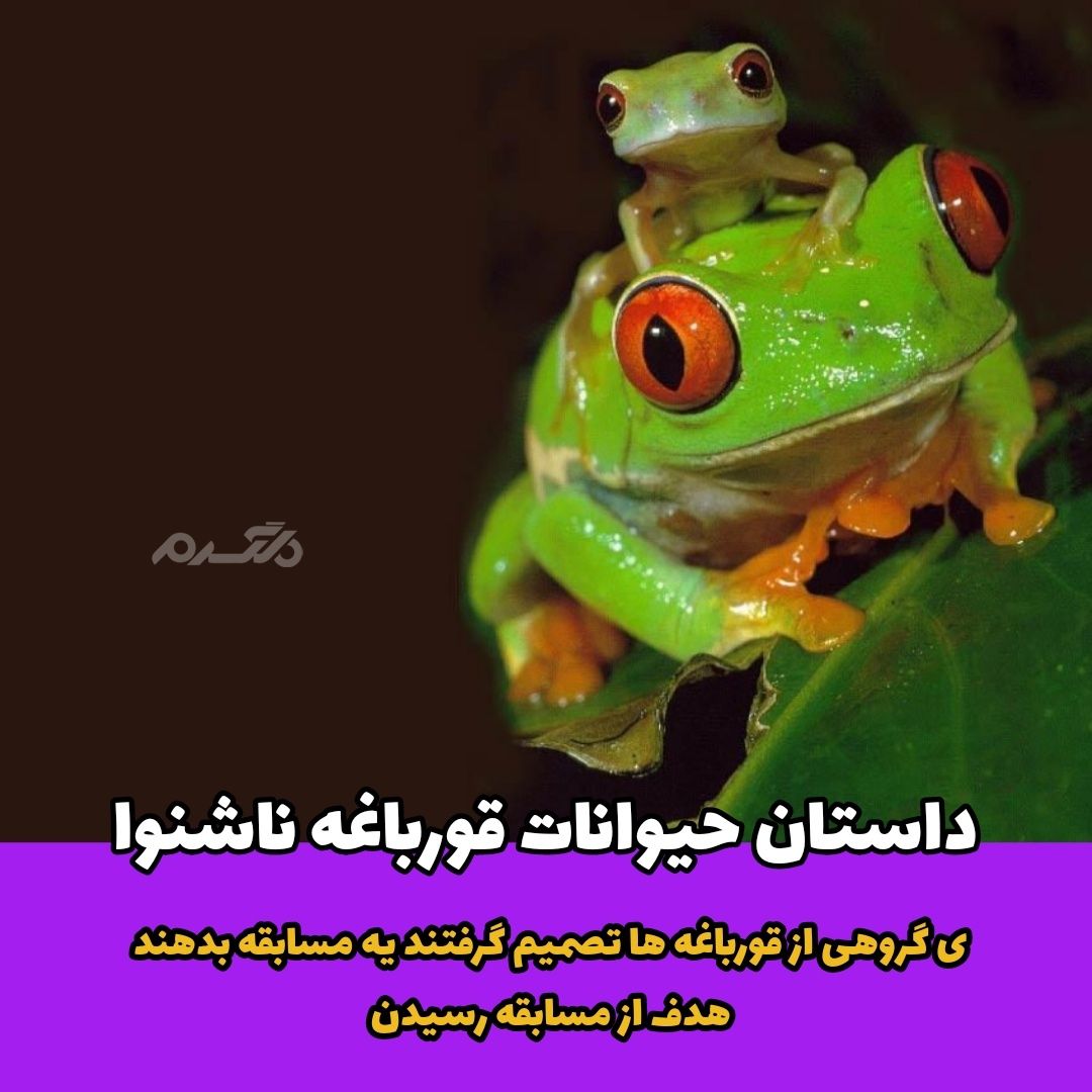 داستان حیوانات قورباغه ناشنوا 