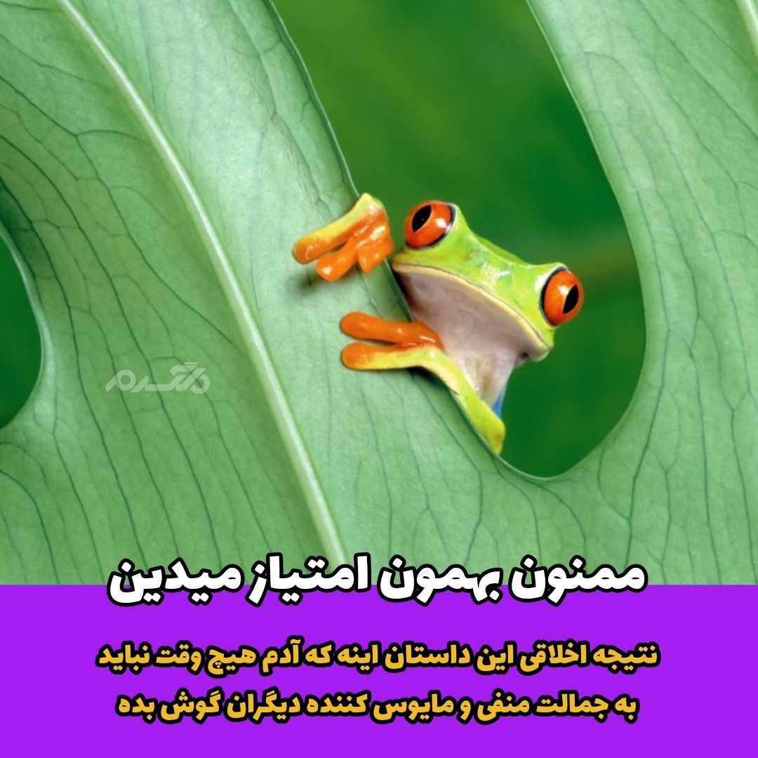 داستان حیوانات قورباغه ناشنوا 