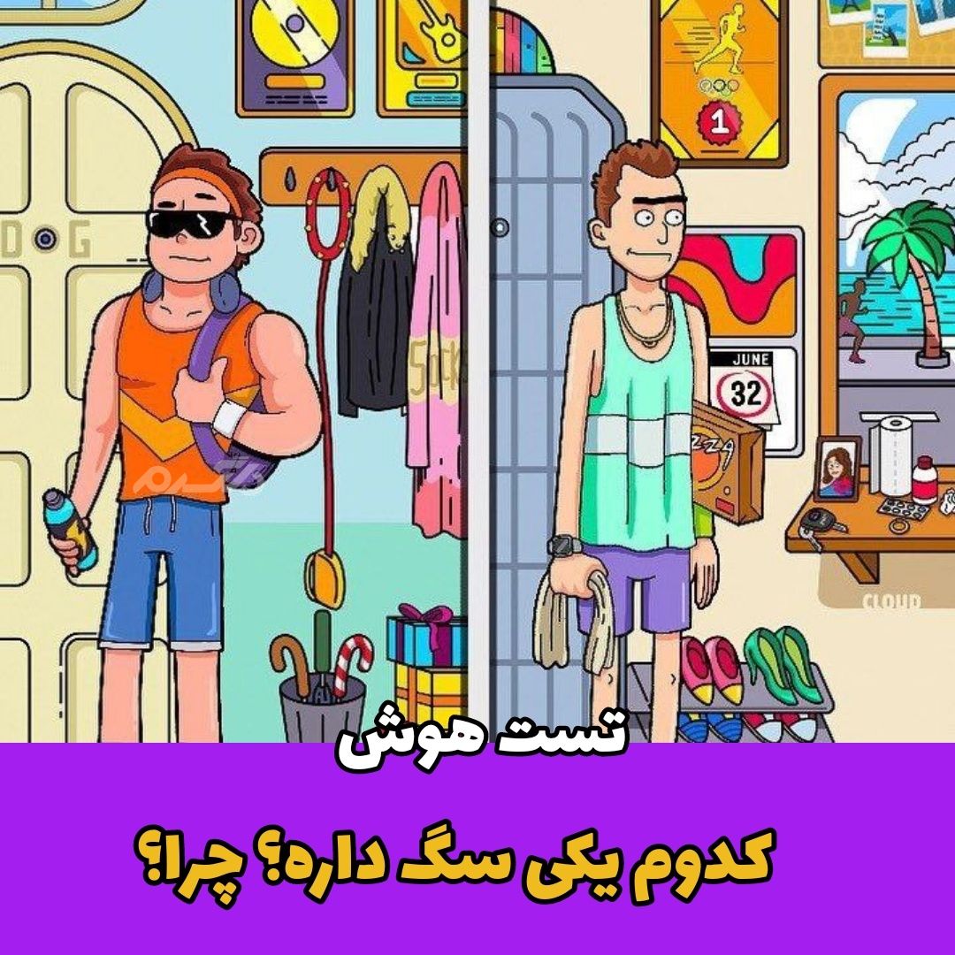 کدوم یکی سگ داره؟ چرا؟ / تست هوش