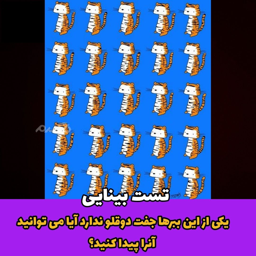 یکی از این ببرها جفت دوقلو ندارد آیا می توانید پیدا کنید؟ / تست بینایی