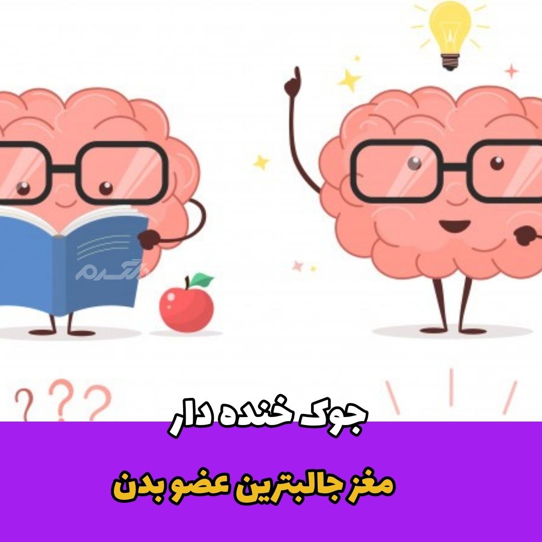 جوک خنده دار / مغز جالبترین عضو بدن!