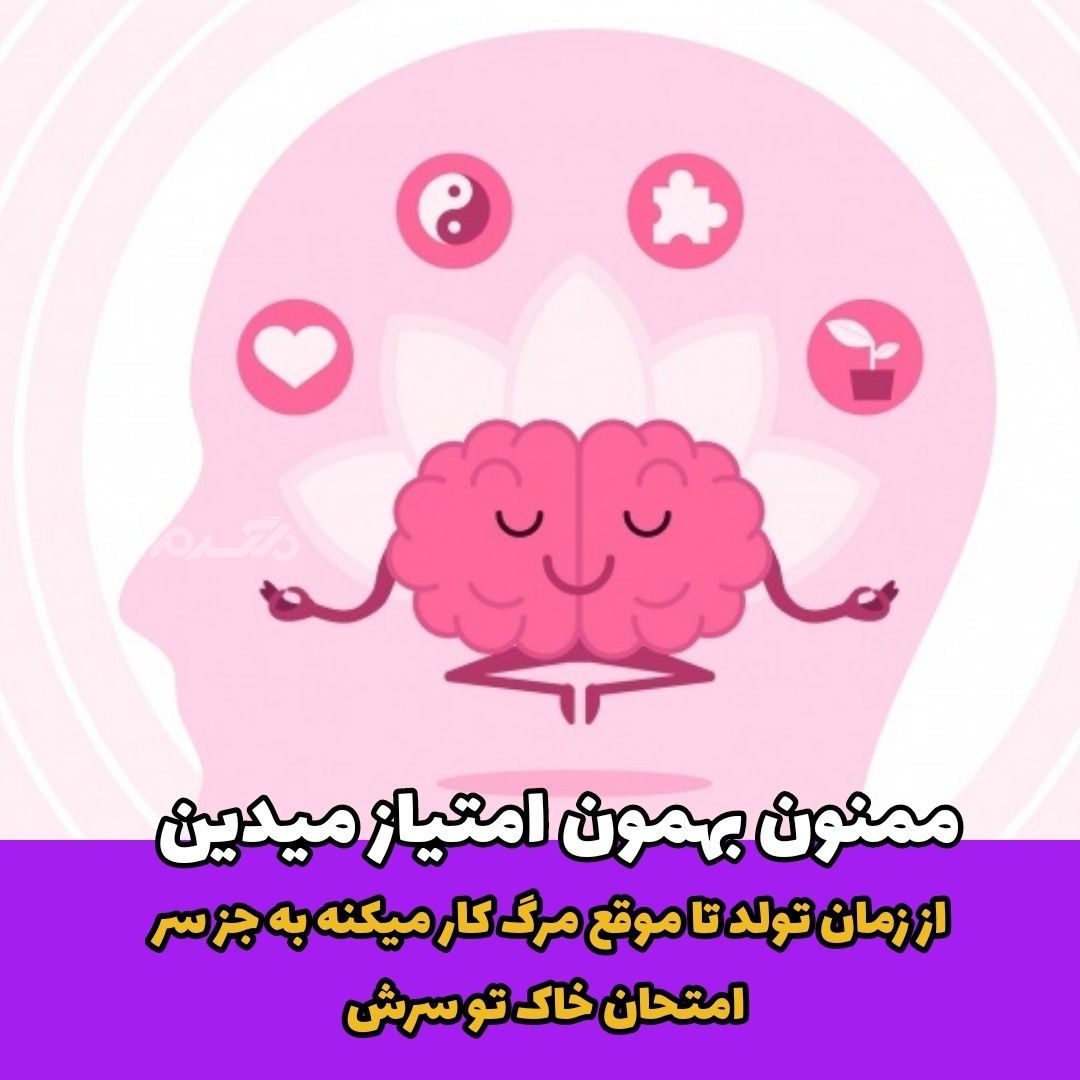 جوک خنده دار / مغز جالبترین عضو بدن!