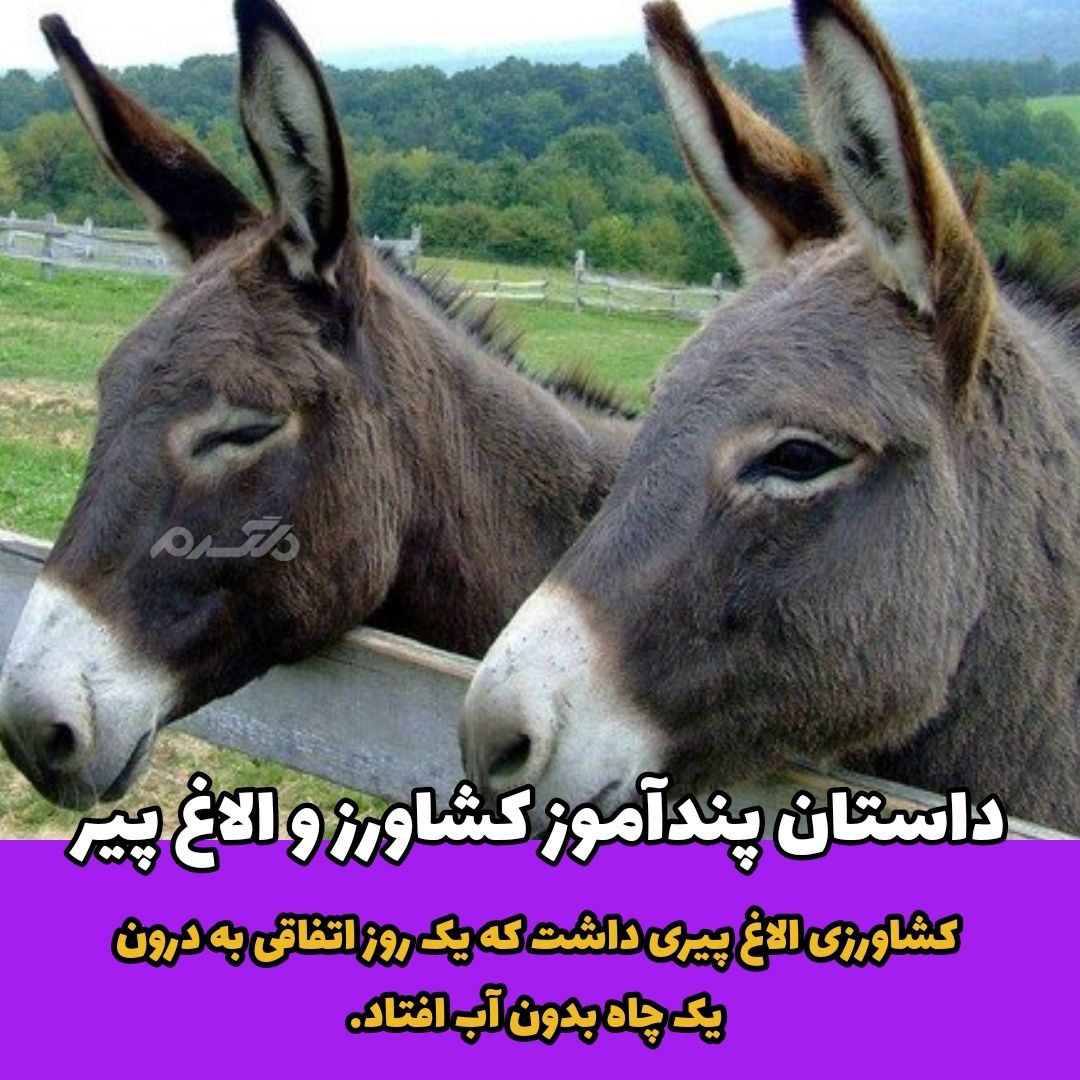 داستان پندآموز / کشاورز و الاغ پیر