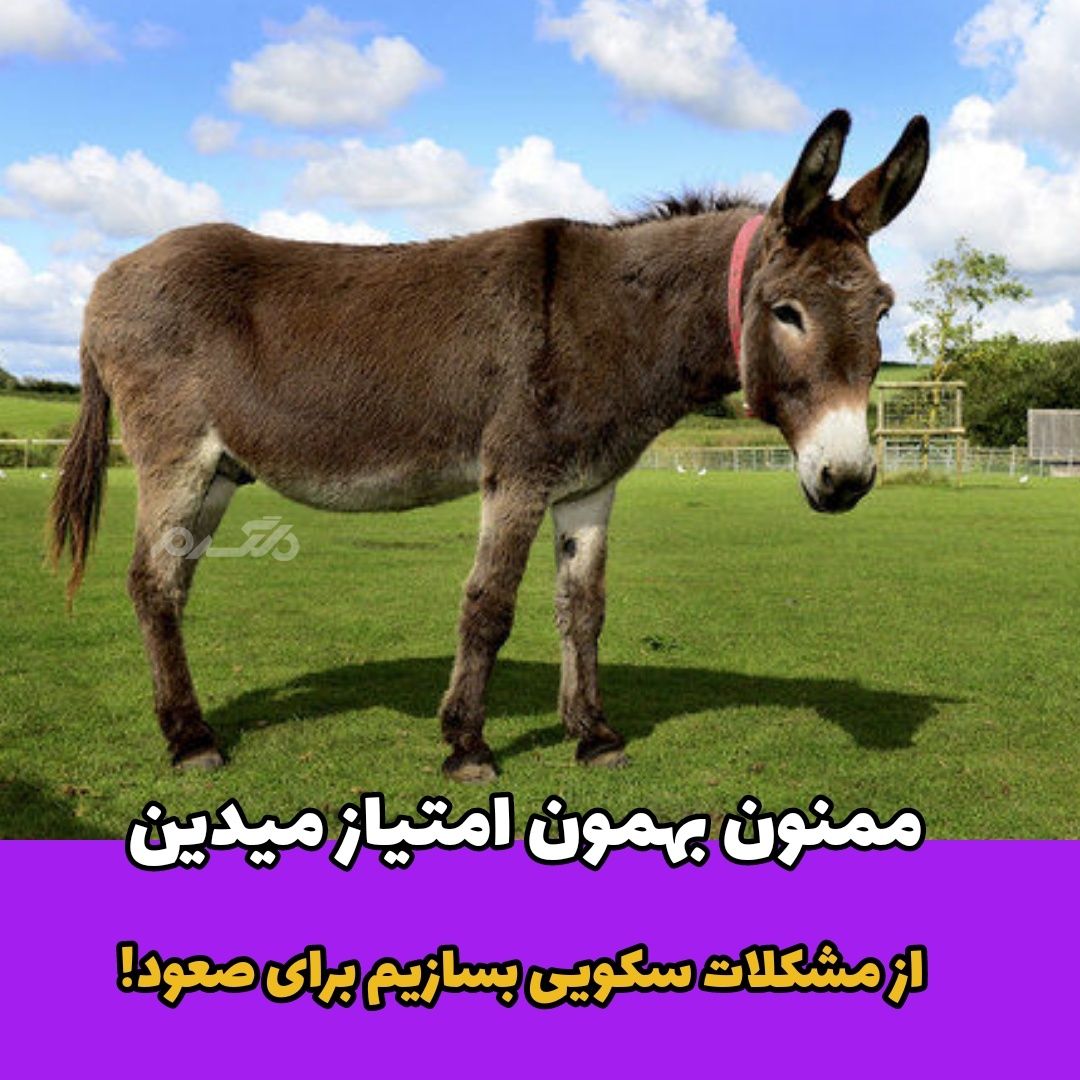 داستان پندآموز / کشاورز و الاغ پیر