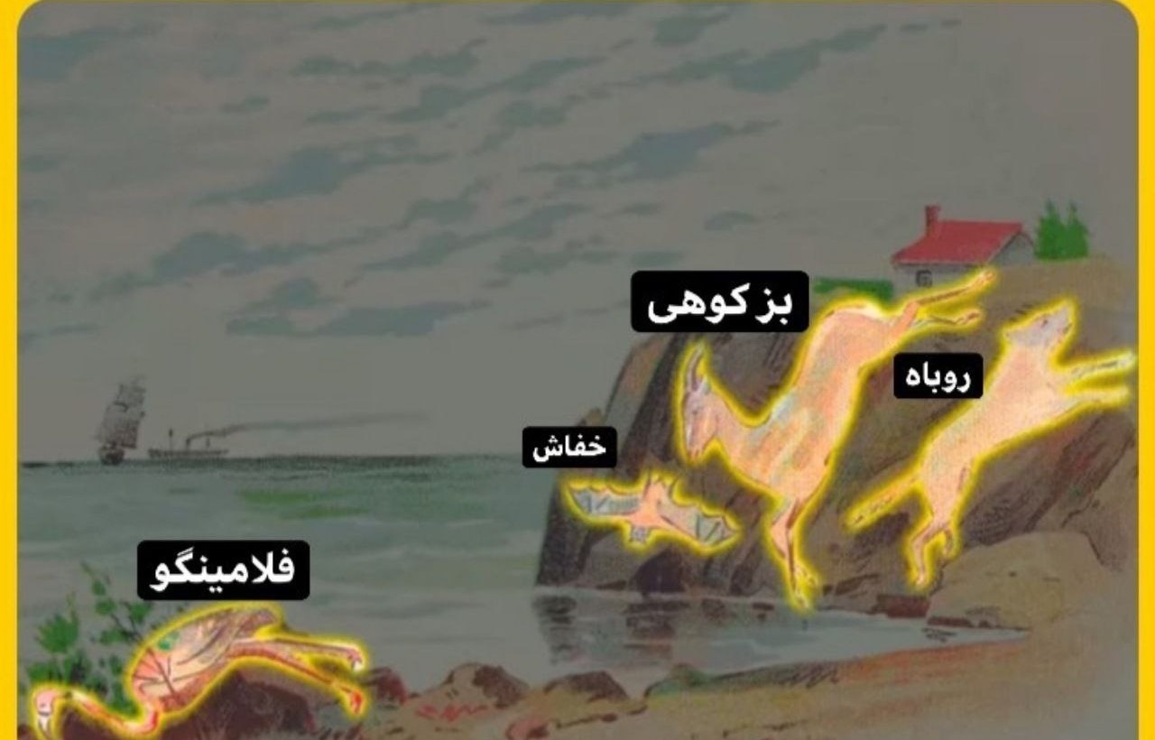 چند حیوان می‌بینید؟! / تست بینایی