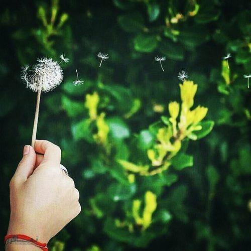 شش راز مهم زندگی