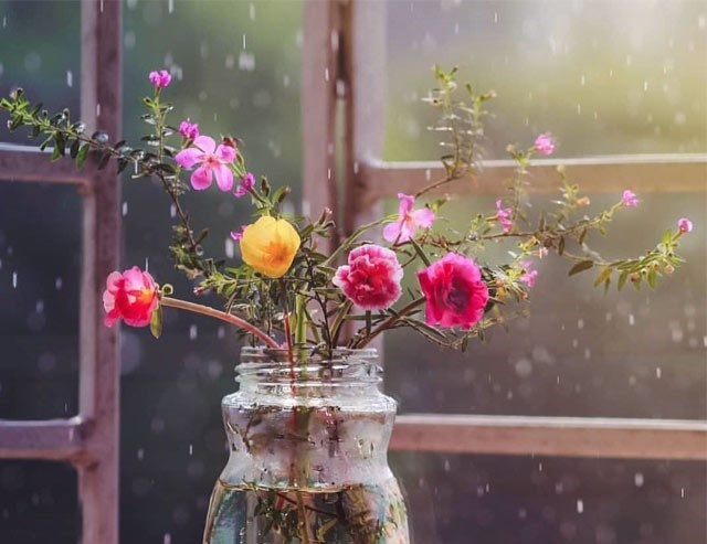 شش راز مهم زندگی