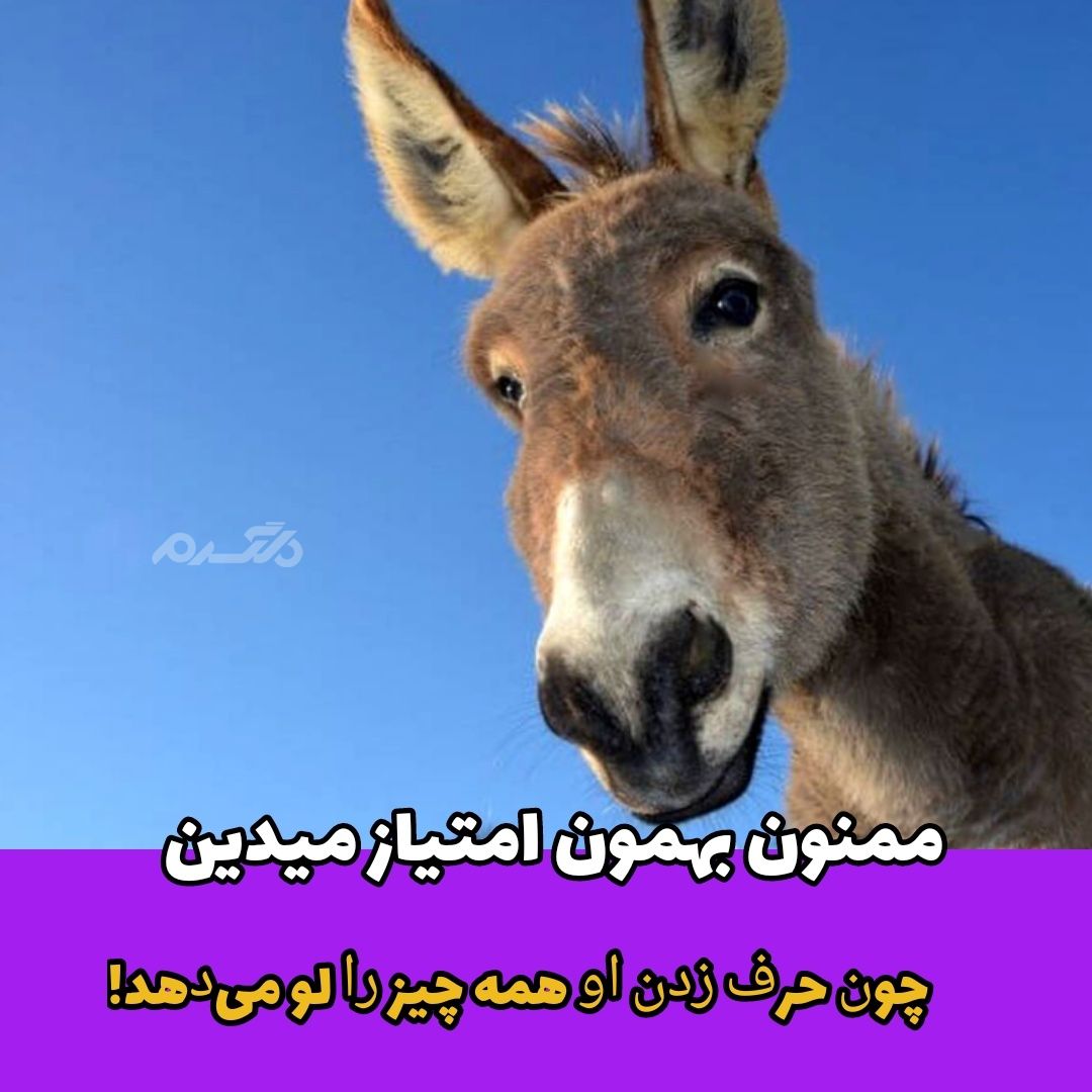 داستان پندآموز / الاغی در پوست شیر