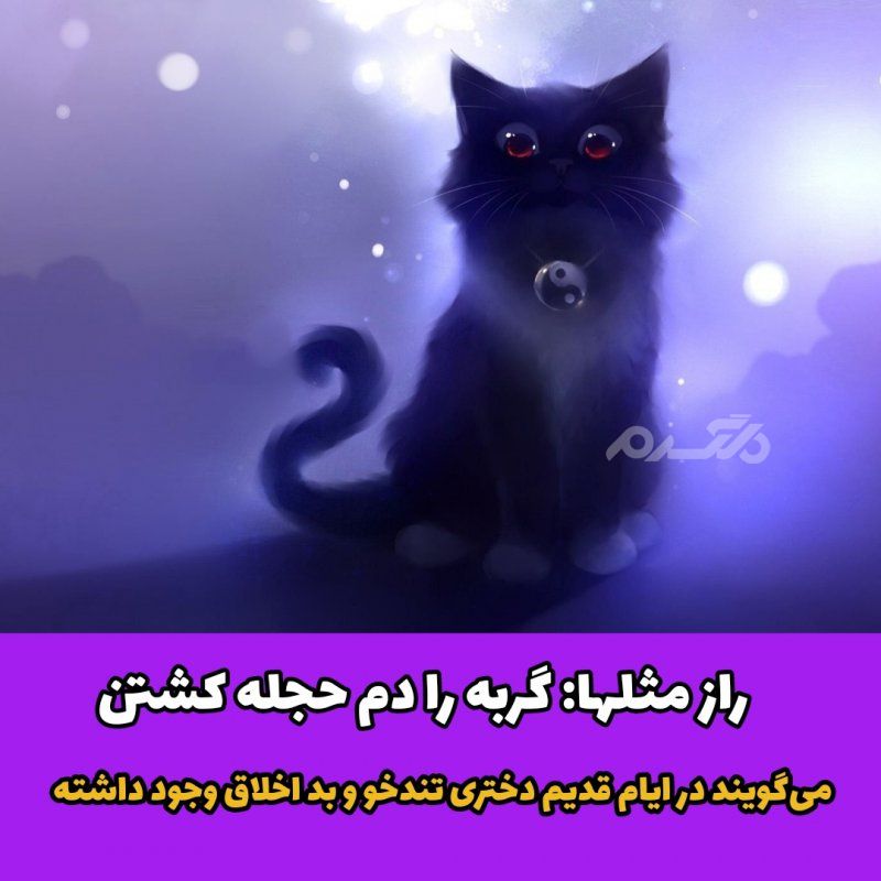 راز مثلها: گربه را دم حجله کشتن