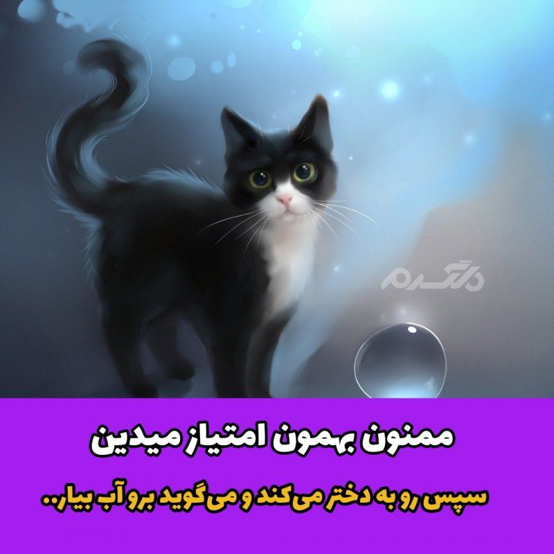 راز مثلها: گربه را دم حجله کشتن