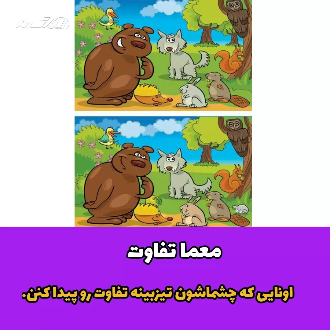 معما تفاوت / اونایی که چشماشون تیزبینه تفاوت رو پیدا کنن