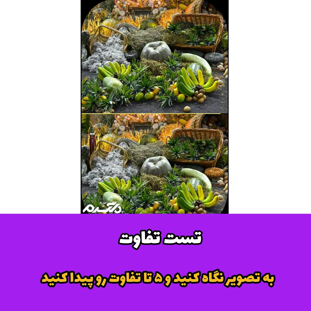  به تصویر نگاه کنید و ۵ تا تفاوت رو پیدا کنید