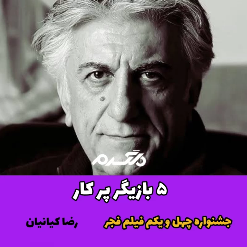 ۵ بازیگر پر کار جشنواره چهل و یکم فیلم فجر