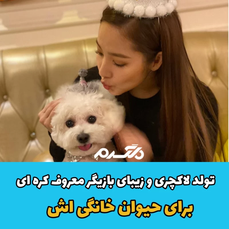 تولد لاکچری و زیبای بازیگر معروف کره ای برای حیوان خانگی اش