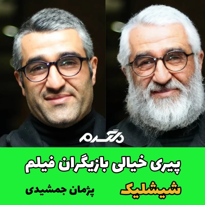 پیری خیالی بازیگران فیلم شیشلیک