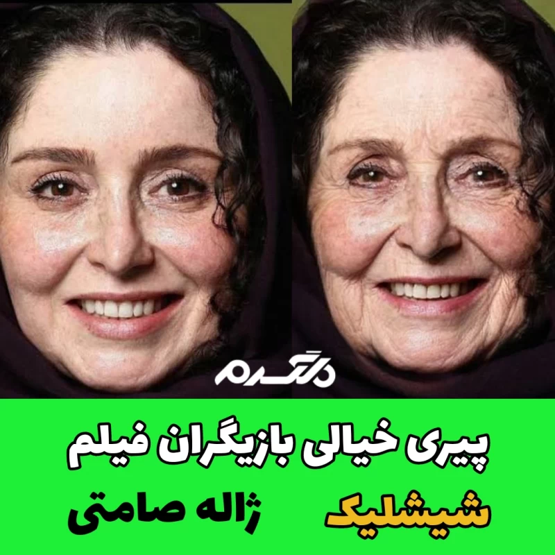 پیری خیالی بازیگران فیلم شیشلیک