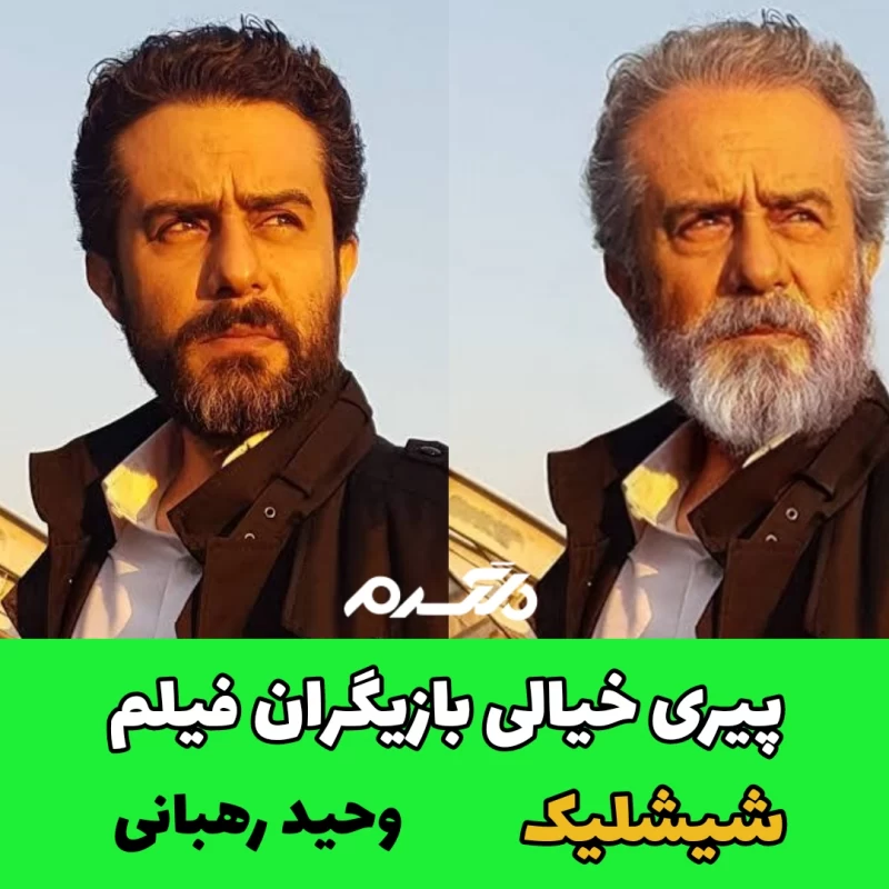 پیری خیالی بازیگران فیلم شیشلیک
