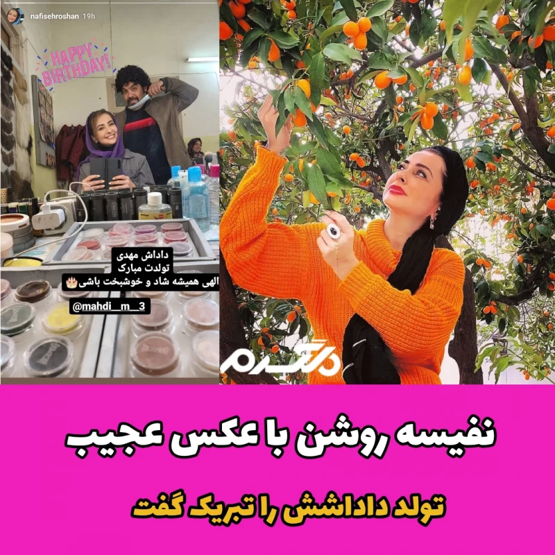 نفیسه روشن با عکس عجیب تولد داداشش را تبریک گفت