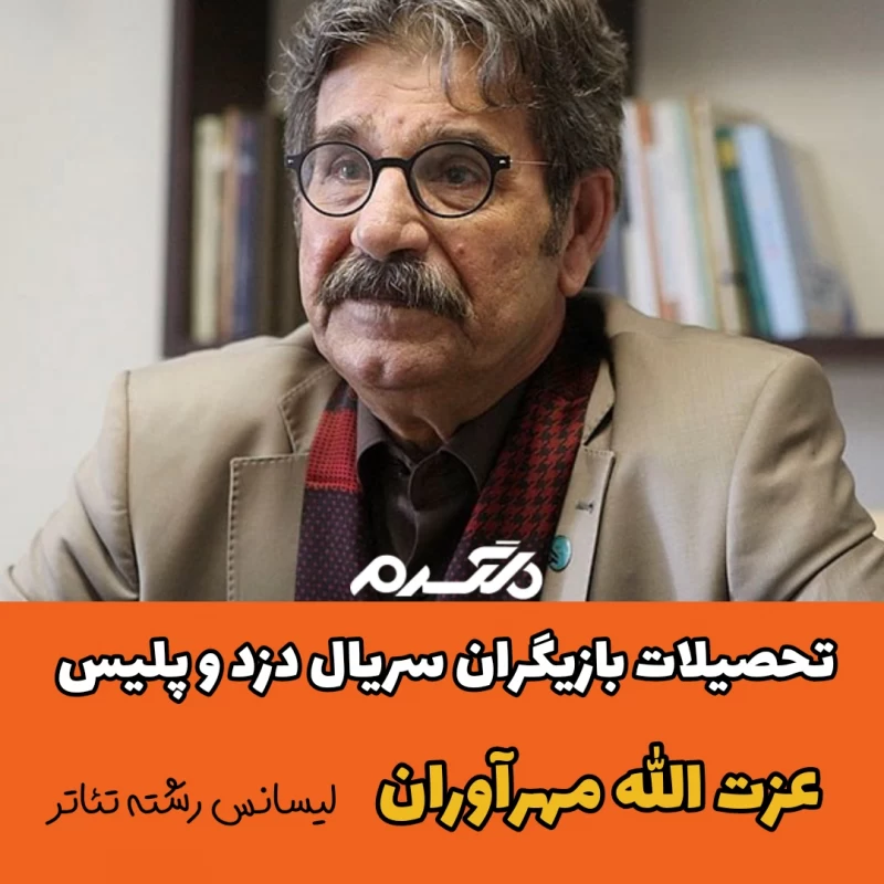 تحصیلات بازیگران سریال دزد و پلیس