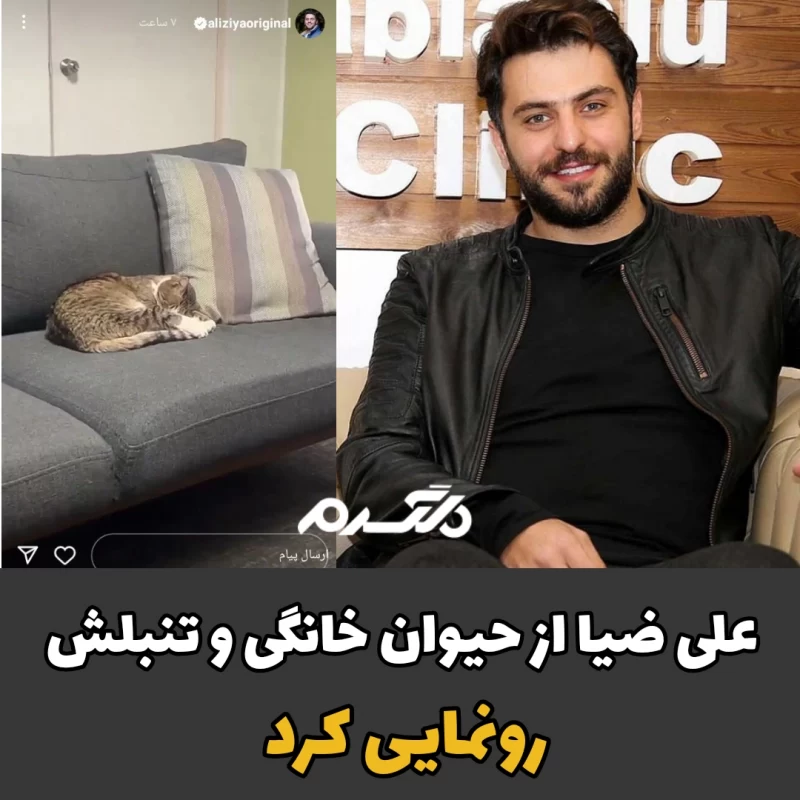 علی ضیا از حیوان خانگی تنبلش رونمایی کرد