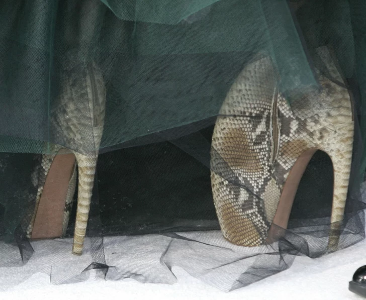 ۱۴ جفت کفش عجیب که لیدی گاگا در طول سال ها پوشیده است