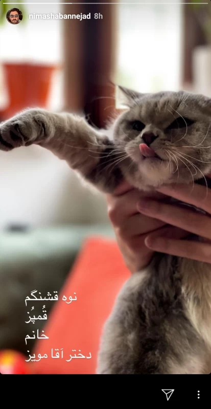 نیما شعبان نژاد خبر از نوه دار شدنش داد