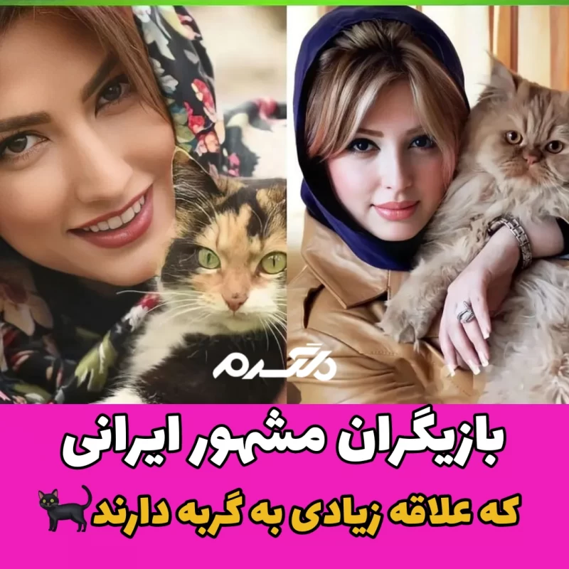 بازیگران مشهور ایرانی که به گربه علاقه زیادی دارند