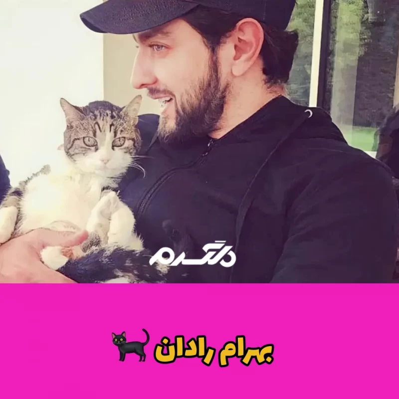 بازیگران مشهور ایرانی که به گربه علاقه زیادی دارند
