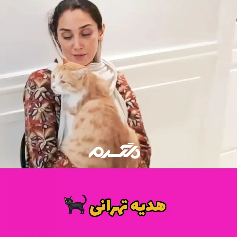 بازیگران مشهور ایرانی که به گربه علاقه زیادی دارند