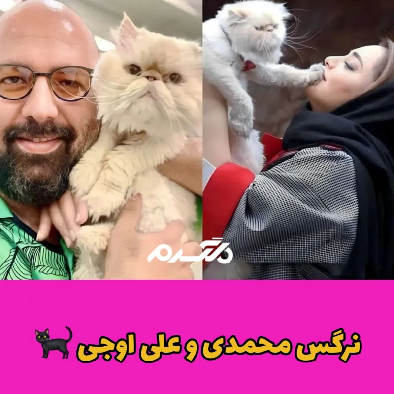 بازیگران مشهور ایرانی که به گربه علاقه زیادی دارند