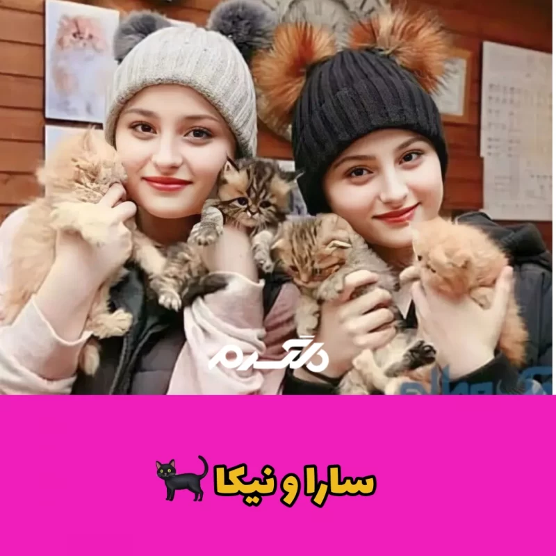 بازیگران مشهور ایرانی که به گربه علاقه زیادی دارند