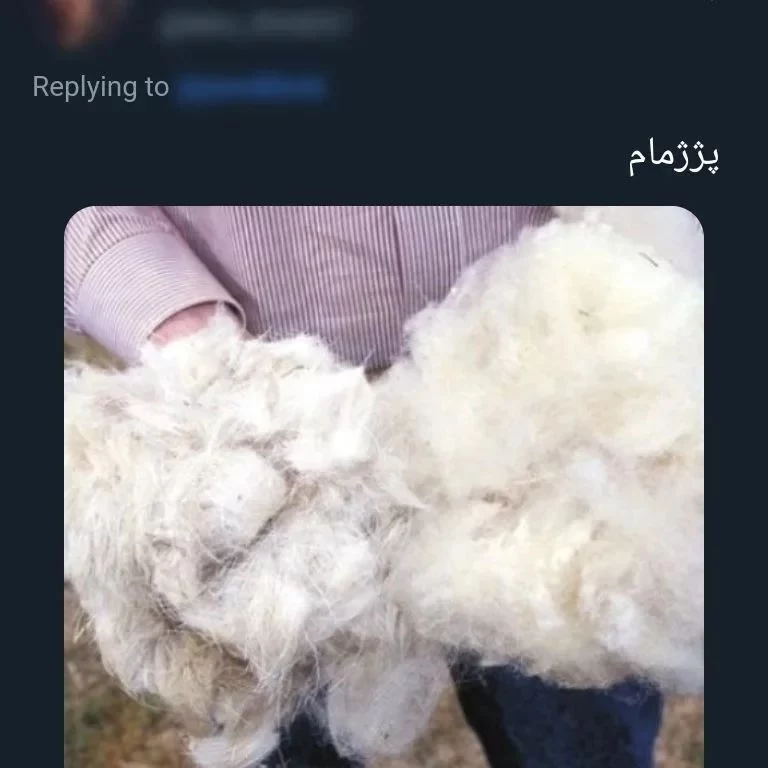کشف شده از امتحان نهایی به خلاقیتش نمره بدید!