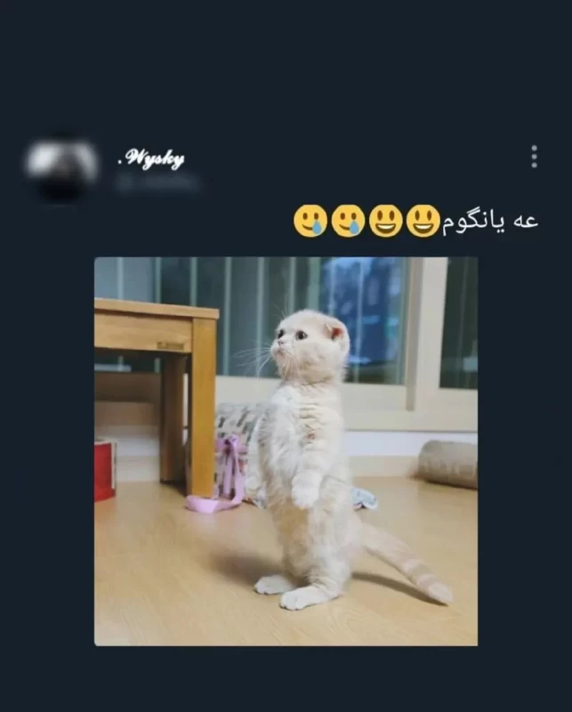 میدونم حس پیری بهتون دست میده ولی این سریال مال ۱۵ سال پیشه!