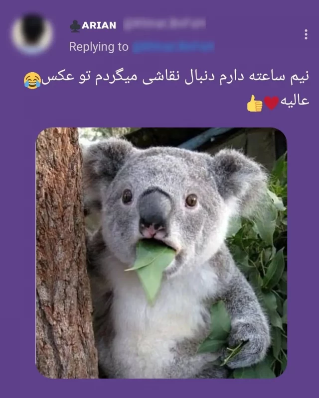 دوستم نقاشی کشیده ۱۵ ساعت وقت برده همه کف کردن