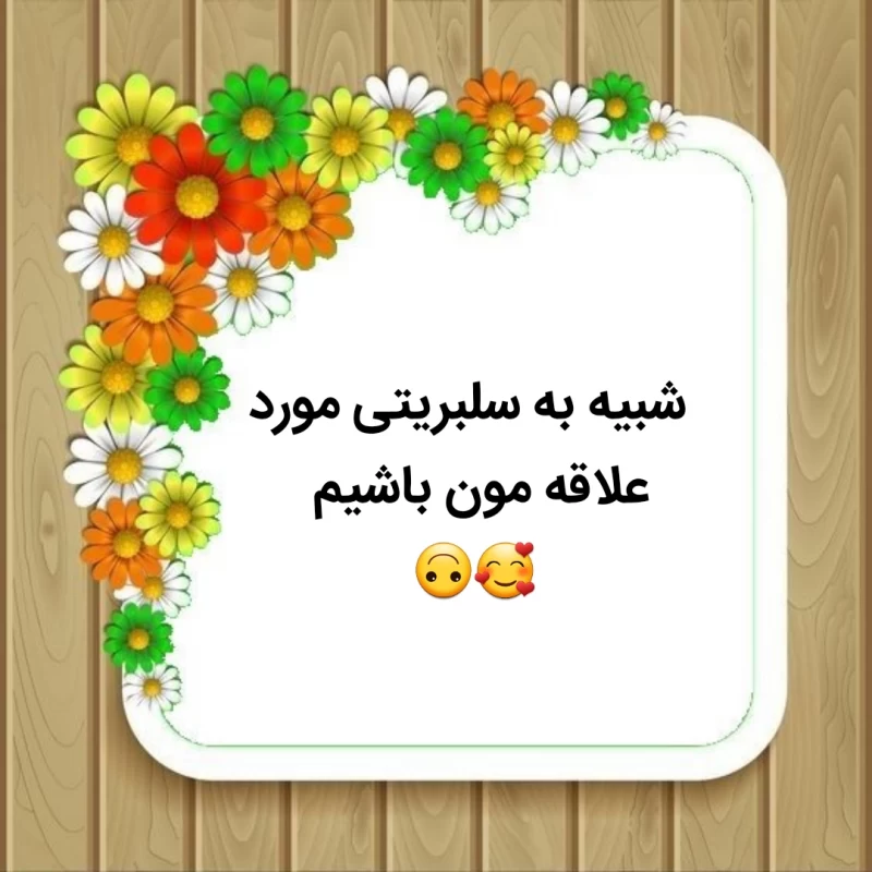 شرط میبندم این هایی که گفتم آرزوی تو هم هست...