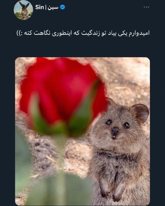 امیدوارم یکی بیاد تو زندگیت که اینطوری نگاهت کنه
