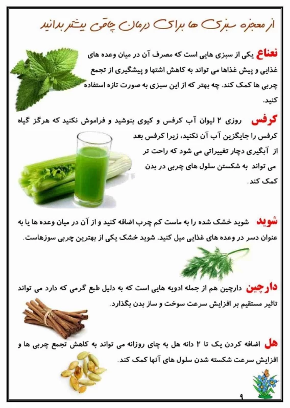 سوالات هفته ۲ اردیبهشت پایه چهارم دبستان
