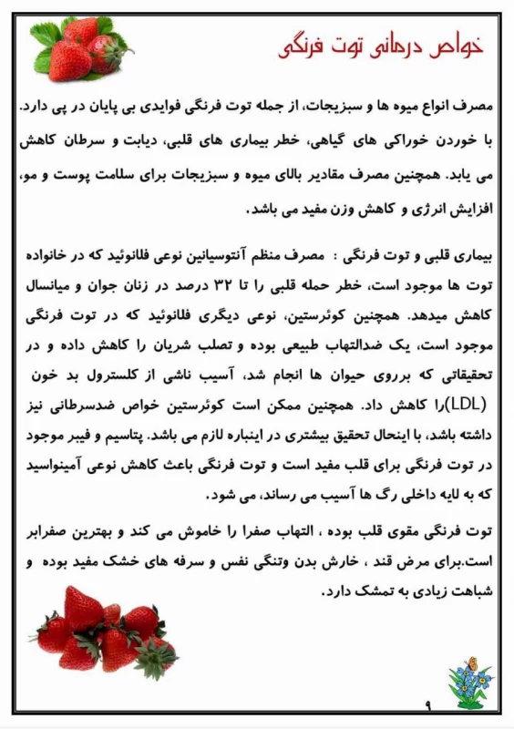 سوالات هفته ۳ اردیبهشت پایه چهارم دبستان