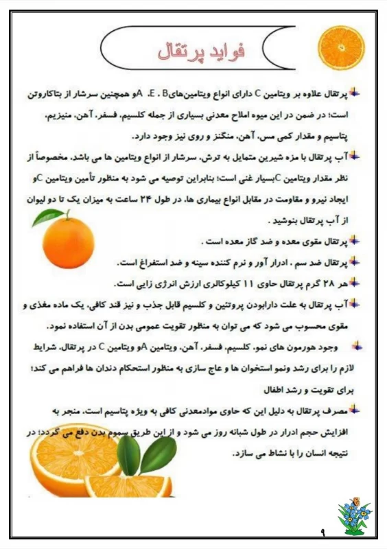 سوالات هفته ۴ بهمن پایه پنجم دبستان