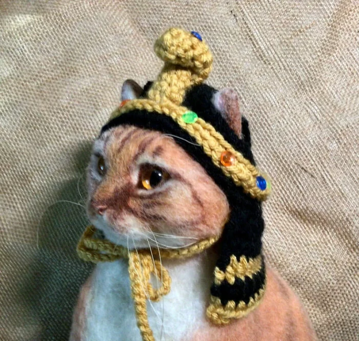 کلاه قلاب‌بافی برای گربه