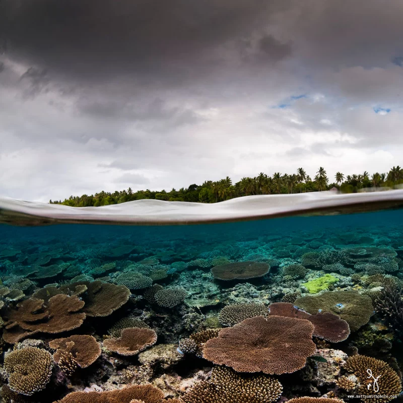 عکاسی از دنیای زیر آب و دنیای ما