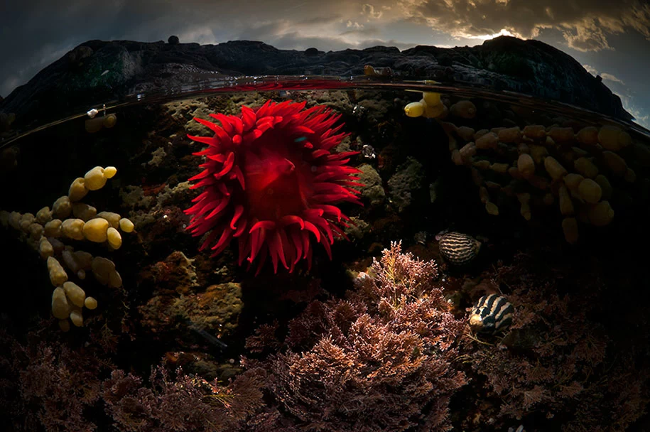 عکاسی از دنیای زیر آب و دنیای ما