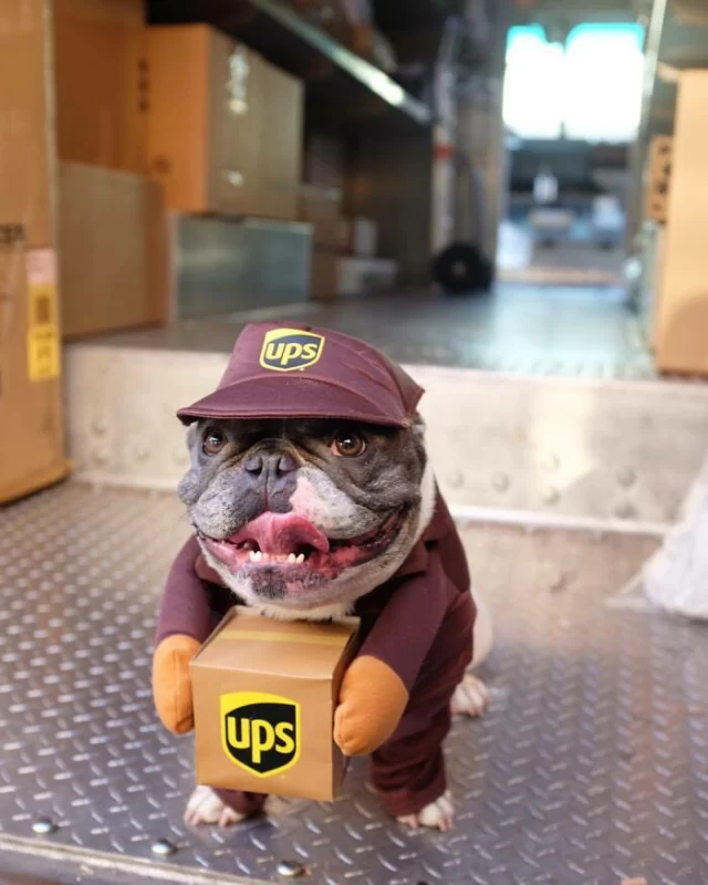 رانندگان کامیون های حمل UPS