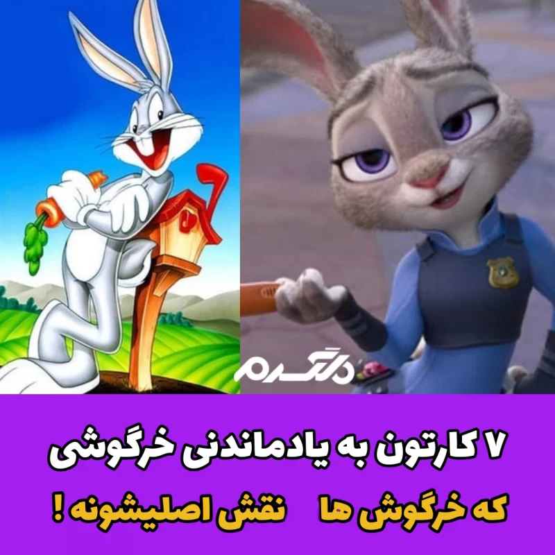 انیمیشن